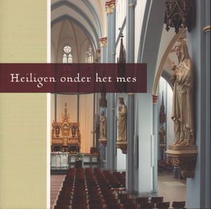 Boek Heiligen onder het mes