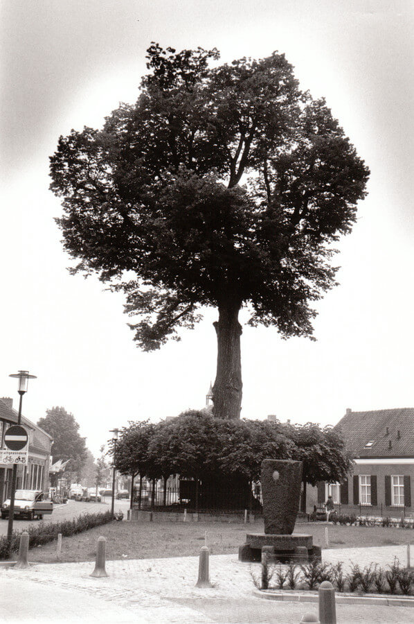 Lindeboom