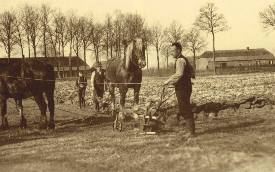 1950 Wederopbouw: van agrarisch dorp naar stedelijk woongebied