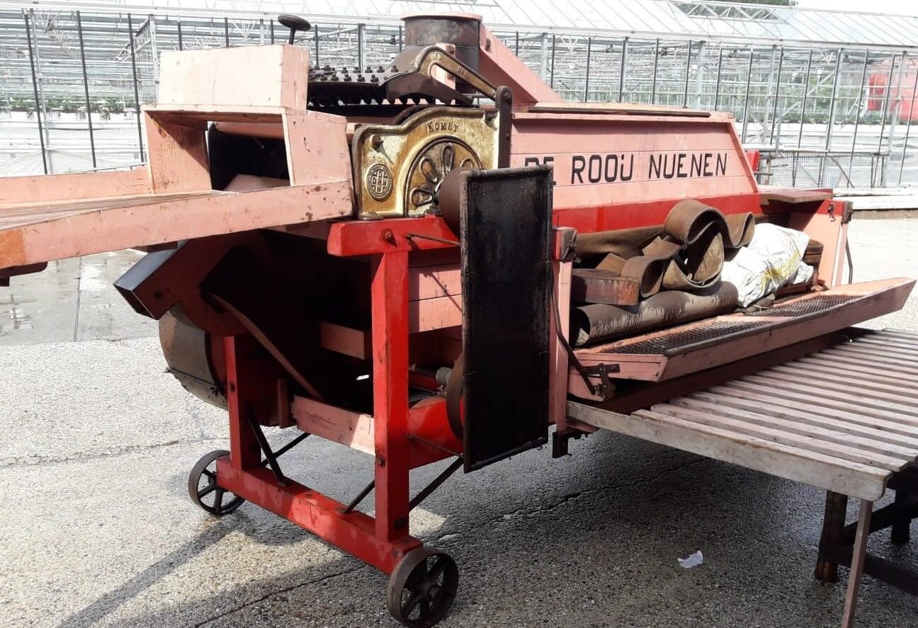 211230 dorskast de Rooij 1 (2)