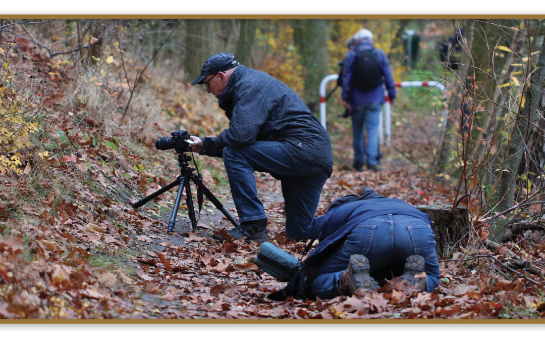 Fotowedstrijd ‘Nuenen-Gerwen-Nederwetten 200’