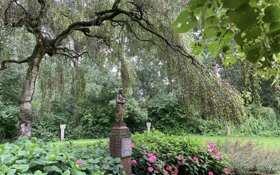 H. KRUISPARK HOOIDONK