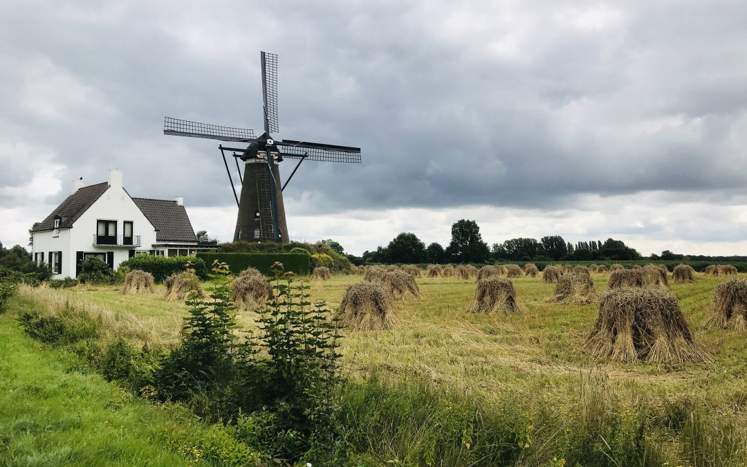 Windmolen De Roosdonck