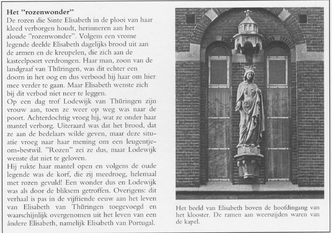 rozenwonder_Sint_Elisabeth