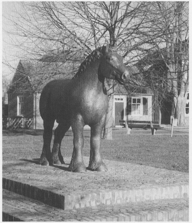 trekpaard_Gerwen_1990